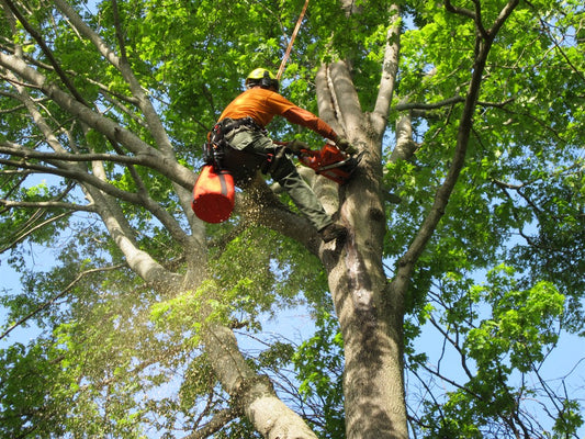 Tree Trimming Services: Company List (*xlsx)